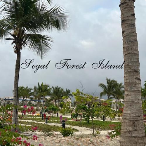 Segal Salalah-Forest Island-Hawana Kültér fotó