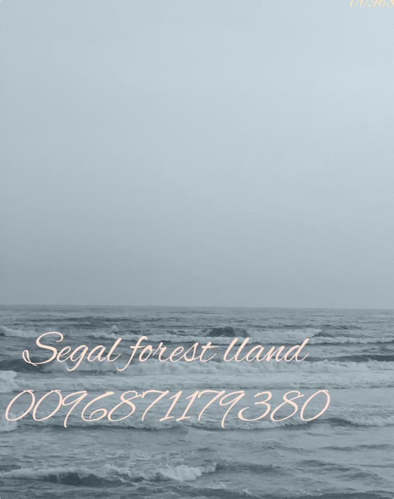 Segal Salalah-Forest Island-Hawana Kültér fotó